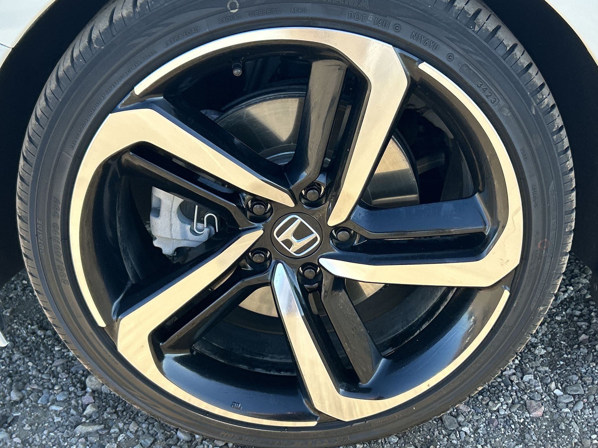 2022 Honda Accord Sport Special Edition